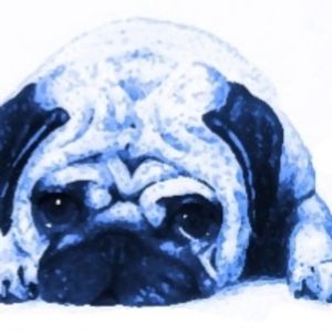 Meet your Posher, Bluepug